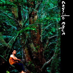 Listen to Manifiesto song with lyrics from Camilo Eque