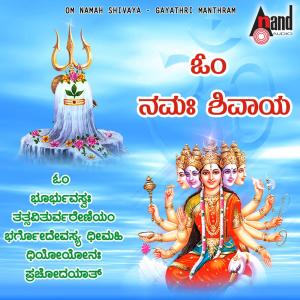 收听Ajay Warrior的Om Namah Shivaya歌词歌曲