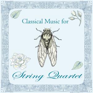 Dengarkan lagu Mozart Divertimento in D Major, K.136_125a I. Allegro for String Quintet nyanyian Shockwave-Sound dengan lirik