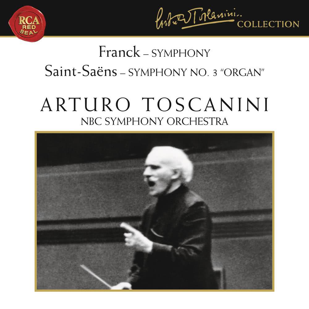 Symphony in D Minor, FWV 48: I. Lento - Allegro non troppo
