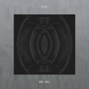 Dengarkan Bicara lagu dari CVX dengan lirik