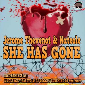 收聽Jérôme Thévenot的She Has Gone (A.Voltage Remix)歌詞歌曲