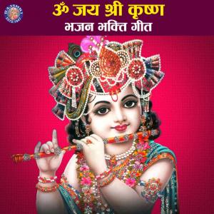Dengarkan Shri Krishna Govinda Hare Murare lagu dari Ketaki Bhave Joshi dengan lirik