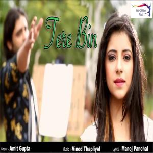 Listen to Tere Bin song with lyrics from Amit Gupta