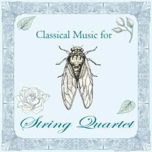 ดาวน์โหลดและฟังเพลง Mozart Divertimento in D Major, K.136_125a I. Allegro for String Quintet พร้อมเนื้อเพลงจาก Shockwave-Sound