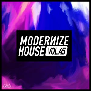 Various的专辑Modernize House, Vol. 45