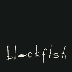 ดาวน์โหลดและฟังเพลง Hey Julie พร้อมเนื้อเพลงจาก blackfish