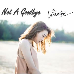 อัลบัม Not a Goodbye ศิลปิน อิมเมจ สุธิตา