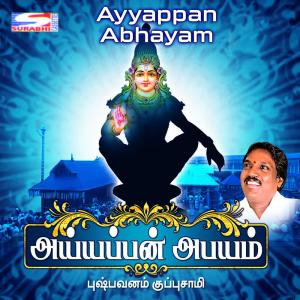 Listen to Ayyappa Swami song with lyrics from Various Artists
