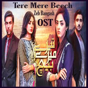 Listen to Tere Mere Beech song with lyrics from Zeb Bangash