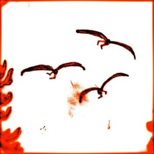 收聽Amy Bowie的Clair de lune歌詞歌曲