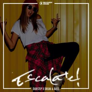 Album Escalate! - Dubstep x Drum & Bass from Various Artists