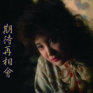 Listen to 情網 song with lyrics from Chen Ying-git (陈盈洁)