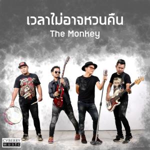 Dengarkan lagu เวลาไม่อาจหวนคืน nyanyian The Monkey dengan lirik
