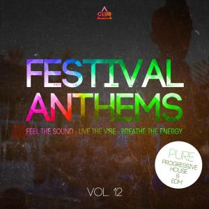 Album Festival Anthems, Vol. 12 oleh Various Artists