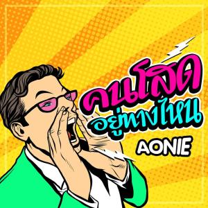 ดาวน์โหลดและฟังเพลง คนโสดอยู่ทางไหน พร้อมเนื้อเพลงจาก AONIE