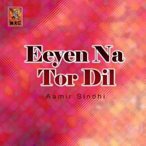收听Aamir Sindhi的Mithe Noor Jo Qasam歌词歌曲