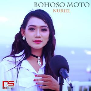 ดาวน์โหลดและฟังเพลง Bohoso Moto พร้อมเนื้อเพลงจาก Nuriel