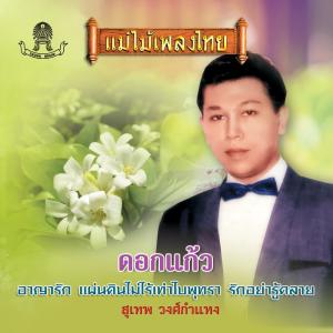 Listen to คนที่ผมรัก song with lyrics from สุเทพ วงศ์กำแหง