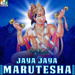 Album Jaya Jaya Marutesha from M.S.Murthy