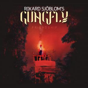 收聽Rikard Sjöblom's Gungfly的Friendship歌詞歌曲