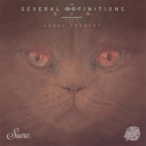 ดาวน์โหลดและฟังเพลง Run พร้อมเนื้อเพลงจาก Several Definitions