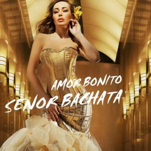 Dengarkan lagu Me Duele nyanyian Senor Bachata dengan lirik