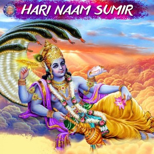 Dengarkan Vishnu Gayatri Mantra lagu dari Various Artists dengan lirik