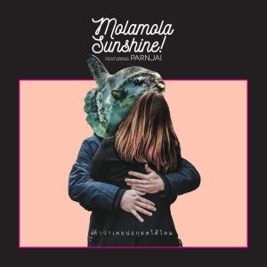 อัลบัม คำว่าเคยน่ะกอดได้ไหม (Instrumental) ศิลปิน Mola mola Sunshine!