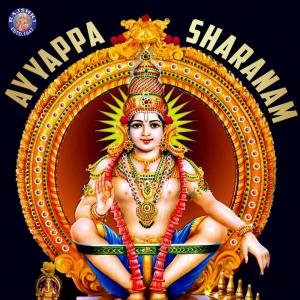 Dengarkan Padi Pattu lagu dari Narayanan Manikandan dengan lirik