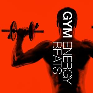 ดาวน์โหลดและฟังเพลง Play Hard (130 BPM) พร้อมเนื้อเพลงจาก Gym Music