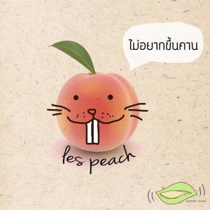 ดาวน์โหลดและฟังเพลง ไม่อยากขึ้นคาน พร้อมเนื้อเพลงจาก La Peach