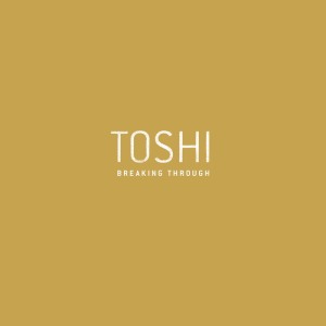 ดาวน์โหลดและฟังเพลง Breaking Through (Album Version) พร้อมเนื้อเพลงจาก Toshi(欧美)