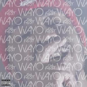 Listen to Shower song with lyrics from Polo Frost