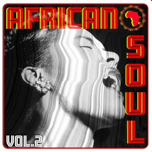 Various的专辑African Soul Vol. 2