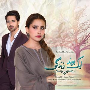 Dengarkan lagu Aik Bond Zindagi (From "Aik Bond Zindagi") nyanyian Sahir Ali Bagga dengan lirik
