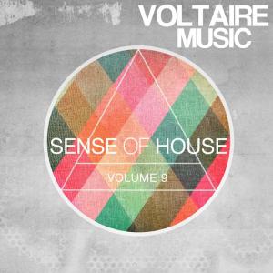 Various的专辑Sense Of House, Vol. 9