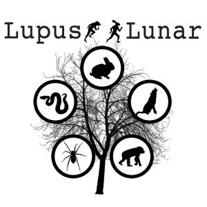 ดาวน์โหลดและฟังเพลง Aftershock พร้อมเนื้อเพลงจาก Lupus Lunar