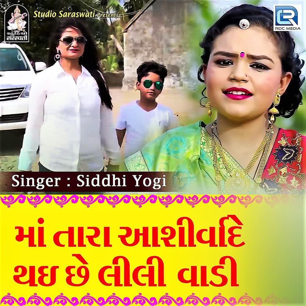 Maa Tara Ashirvade Thayi Che Lili Vadi