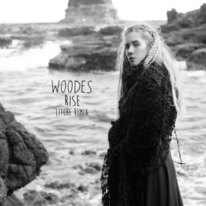 Listen to Rise (Litche Remix) song with lyrics from Woodes