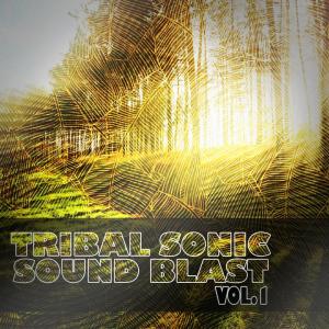 Album Tribal Sonic Soundblast, Vol. 1 from 