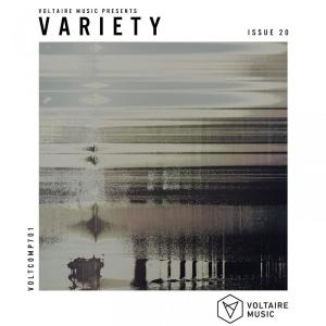 Album Voltaire Music pres. Variety Issue 20 from stefano noferini