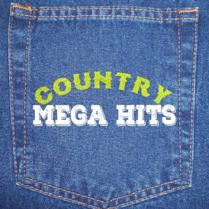 ดาวน์โหลดและฟังเพลง Lucky Man พร้อมเนื้อเพลงจาก Country Hits