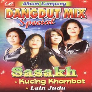Various Artists的專輯Remix Dangdut Lampung