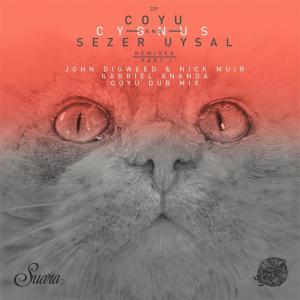อัลบัม Cygnus Remixes, Pt. 1 ศิลปิน Sezer Uysal