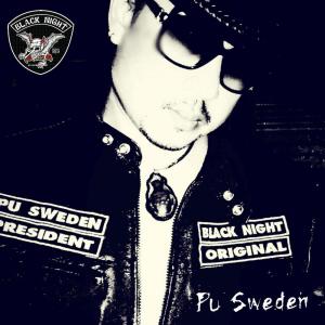 Listen to คนที่เคยรักฉัน..ไม่ใช่เธอ song with lyrics from Pu Sweden