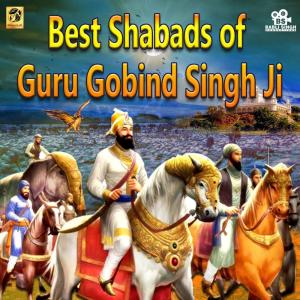 收听Bhai Ranjit Singh的Deh Shiva Bar Mohe Eh歌词歌曲