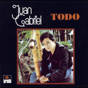 收聽Juan Gabriel的Todo歌詞歌曲