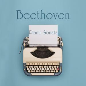 Listen to Beethoven Piano Sonata No. 25 in G Minor, Op. 79, Second Movement, Andante song with lyrics from Shockwave-Sound