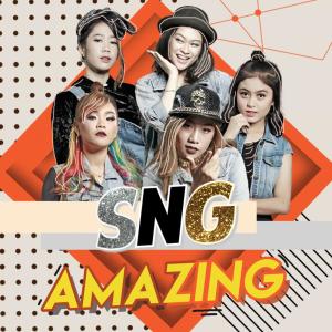 Listen to Amazing song with lyrics from SNG